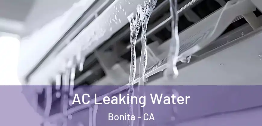  AC Leaking Water Bonita - CA