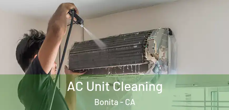 AC Unit Cleaning Bonita - CA
