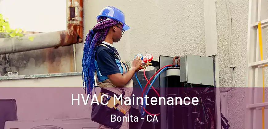 HVAC Maintenance Bonita - CA